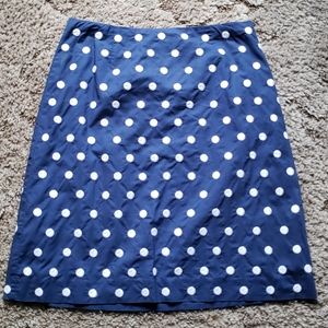 Talbots Embroidered Polka Dot Skirt Size 6